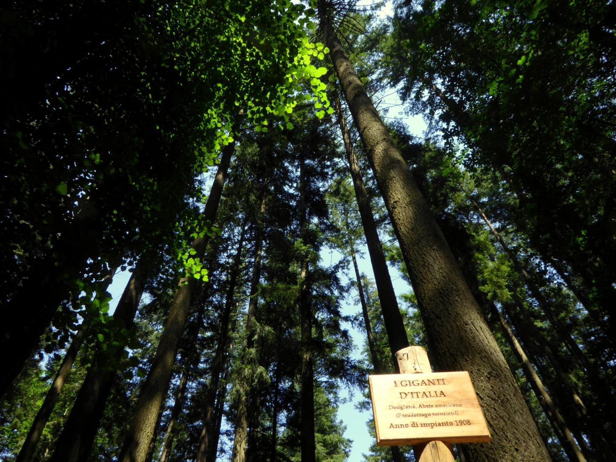 Hotel Rifugio La Foresta Валломброза Экстерьер фото